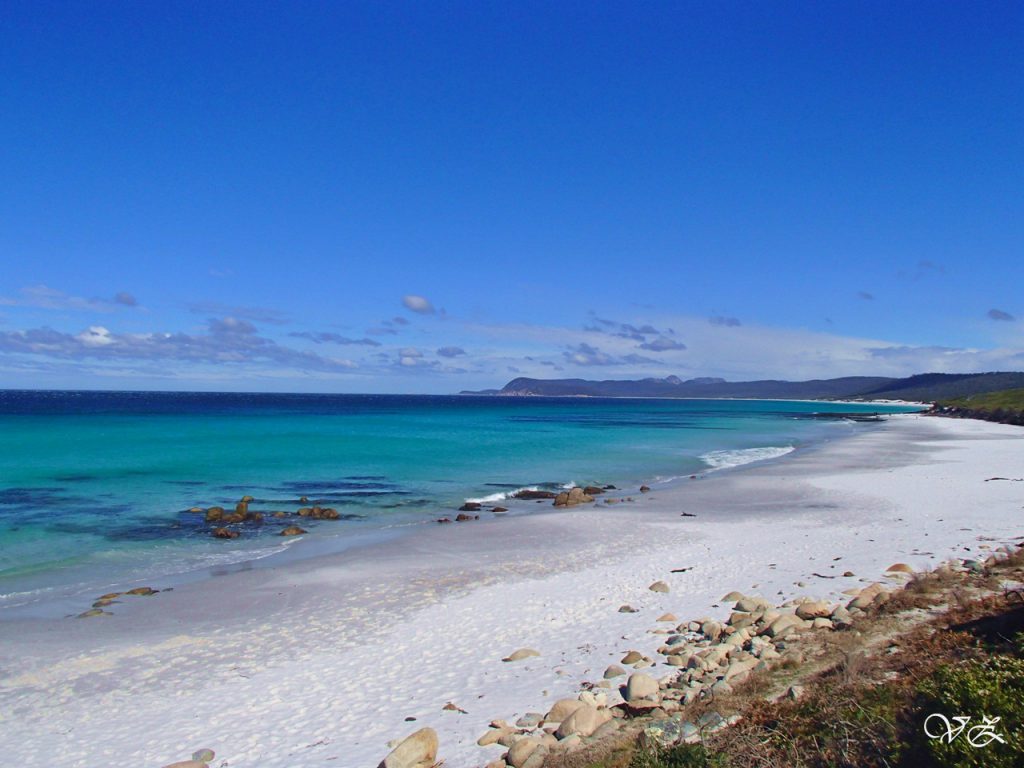 friendly beach tempat wisata Tasmania