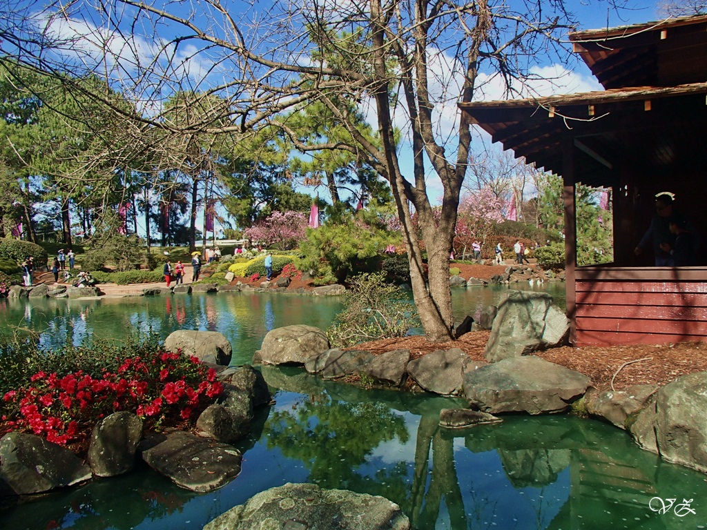 Auburn Japanese Garden Wisata Sydney