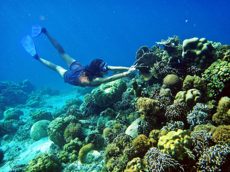 snorkeling di pulau cangke