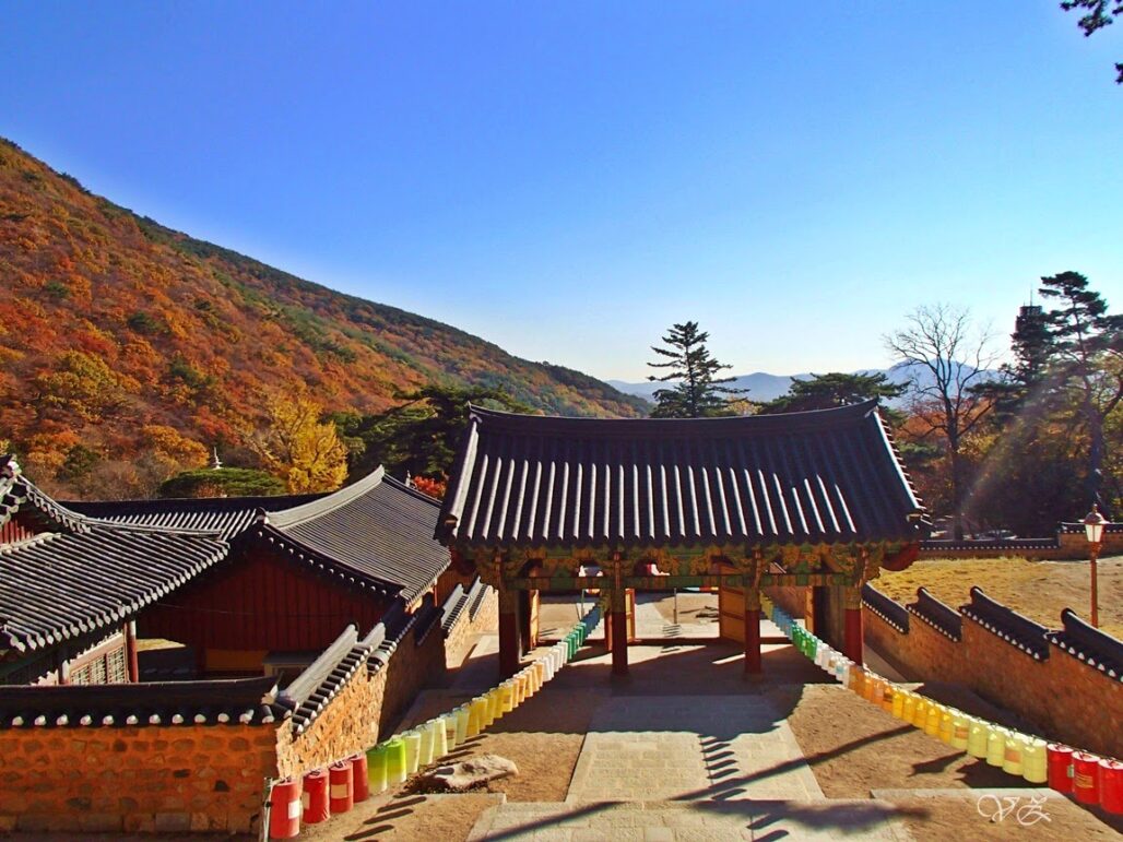 Ngapain aja di Busan? Cek 9 Tempat Wisata di Busan!