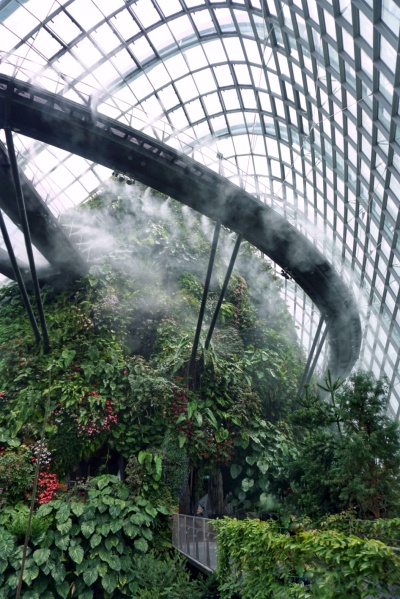 cloud forest gardens by the bay