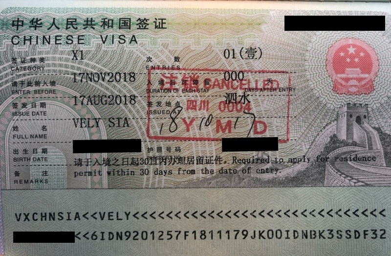 apply visa china online