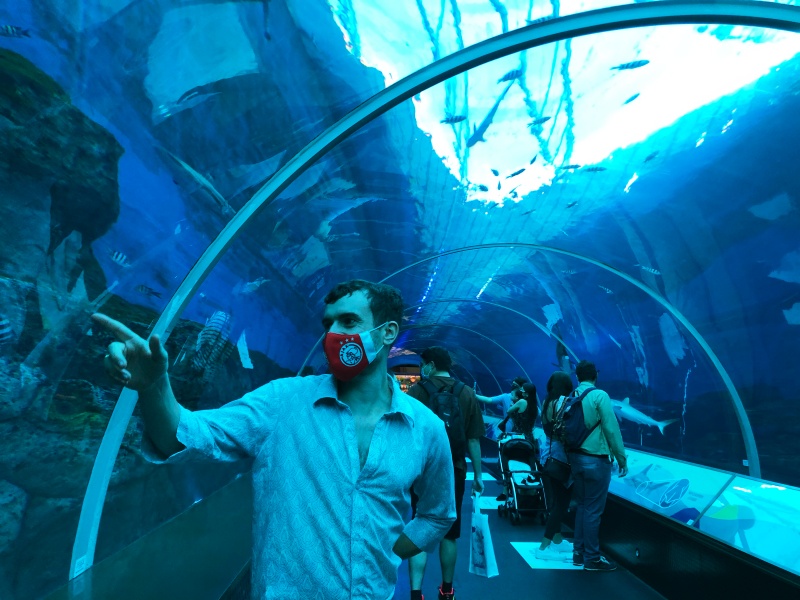 SEA Aquarium Singapore, Tebak Nama Ikan Yuk!