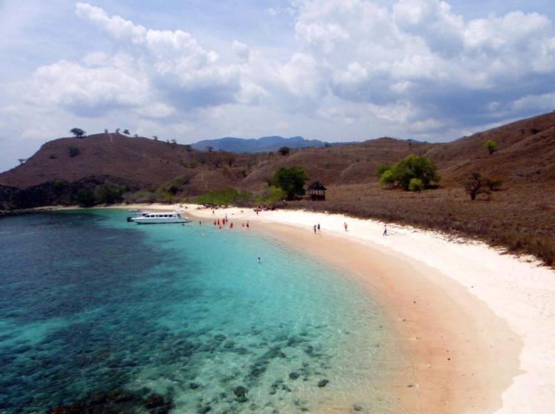 pink beach wisata pulau komodo